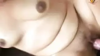 جماع جماعي للحياة البرية: حيوانات متعددة تستخدم عاهرات بشرية راغبة