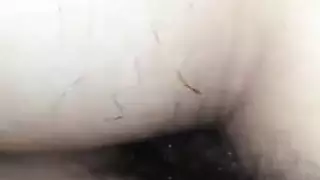 مجموعة صور قضيب منتصب محتوى إباحي مرئي