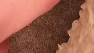 عاهرة سكرانة تأخذ قضيباً في وجهها ثم في مؤخرتها