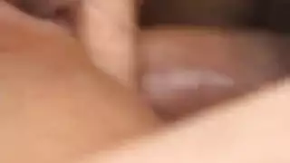 رغبة مزيفة: أيقونات مصرية في أفلام إباحية كاملة