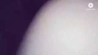 اصابع الارجل البشعة اللسان ونائب الرئيس