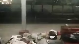 سميك مقدمة تورم الهرة