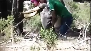 قذف ما كتير