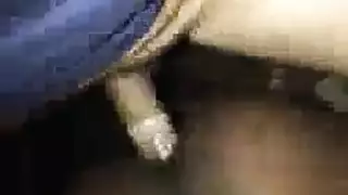 خشب الأبنوس الجنس الشرجي مخترق ساغي الثدي